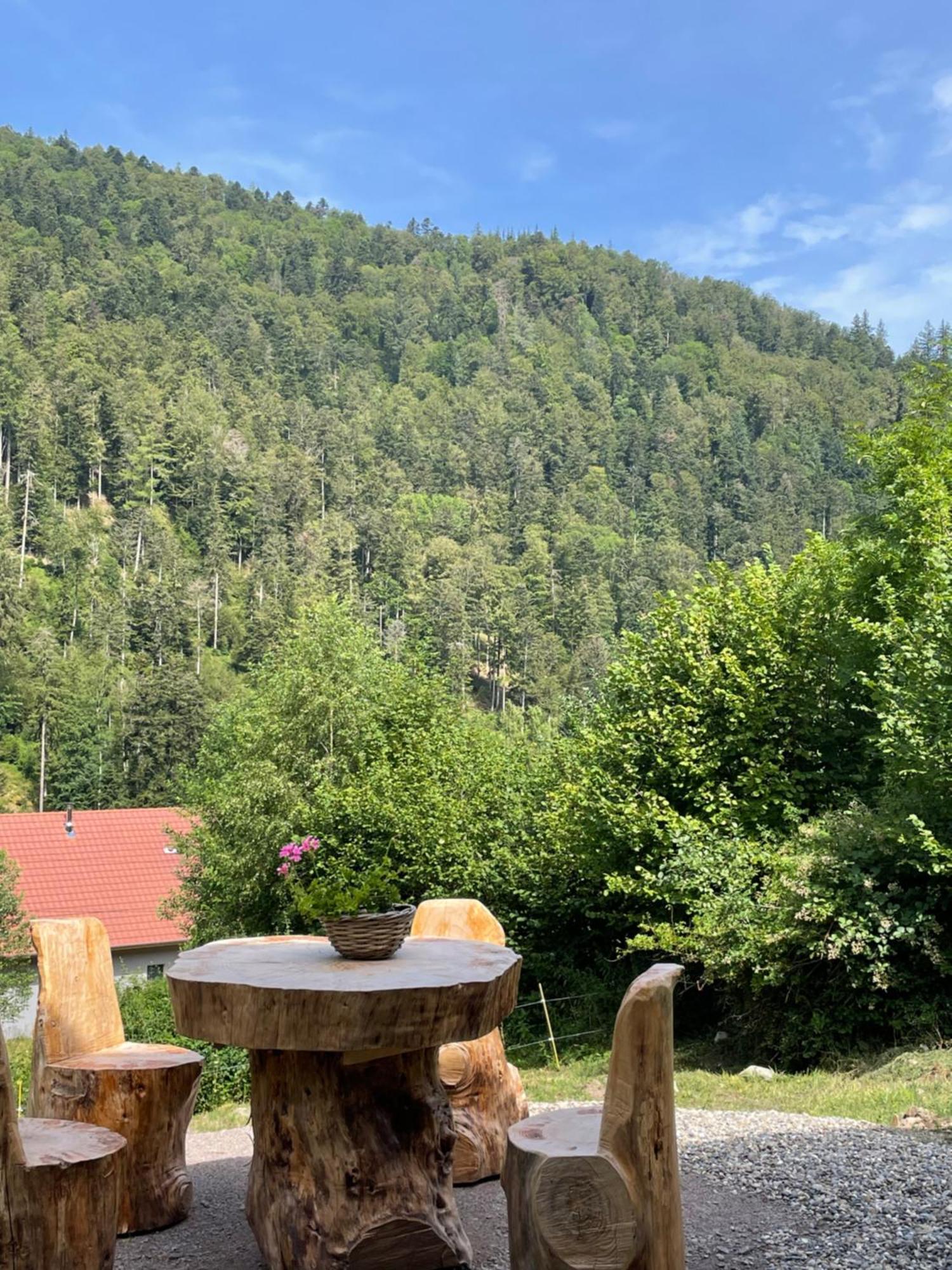 Le Chalet Du Coeur Mittlach Ngoại thất bức ảnh